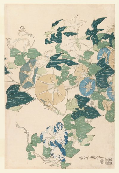 Glorie del mattino in fiori e boccioli, c.1830 da Katsushika Hokusai