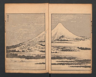 Monte Fuji del Bosco di Bambù, da Cento Vedute del Monte Fuji da Katsushika Hokusai