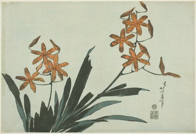 Orchidee arancioni, da una serie senza titolo di fiori da Katsushika Hokusai