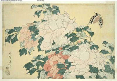 Peonie e Farfalla, da una serie senza titolo di grandi fiori da Katsushika Hokusai