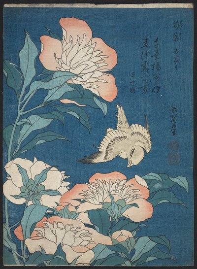 Peonie e canarino (Shakuyaku, kanaari), da una serie senza titolo nota come Piccoli Fiori da Katsushika Hokusai