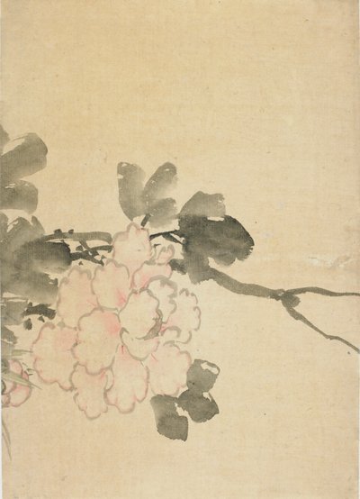 Peonia da Katsushika Hokusai