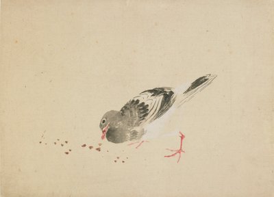 Piccione da Katsushika Hokusai