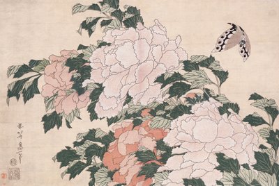 Peonie rosa e rosse soffiate a sinistra in una brezza e una farfalla da Katsushika Hokusai