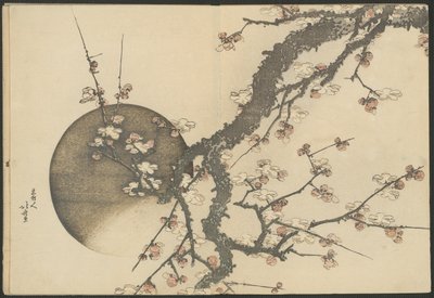 Fiori di prugno e luna dal libro Il Monte Fuji in primavera (Haru no Fuji) da Katsushika Hokusai
