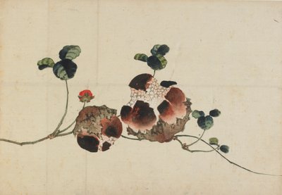 Melograni, fine XVIII-inizio XIX secolo da Katsushika Hokusai