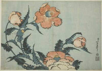Papaveri, da una serie senza titolo di fiori da Katsushika Hokusai
