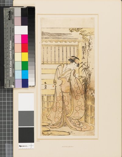 Segawa Kikinojō fuori da una casa interpretando il ruolo di una cortigiana Hoso-ya da Katsushika Hokusai