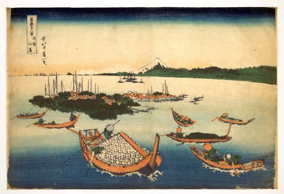 36 vedute del Monte Fuji: veduta dell