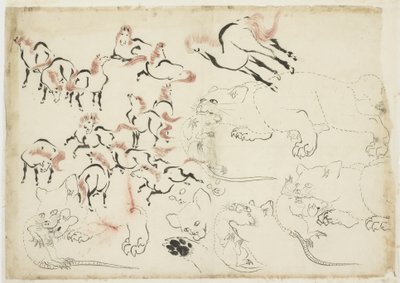 Studi di cavalli, gatti e ratti (da "Hokusai Manga"), c.1815-1849 da Katsushika Hokusai