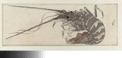 The Lobster da Katsushika Hokusai