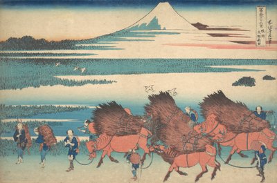 I nuovi campi a Ono nella provincia di Suruga Sunshu Ono shinden, dalla serie Thir..., ca. 1830-32 da Katsushika Hokusai