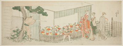 La mostra delle peonie da Katsushika Hokusai