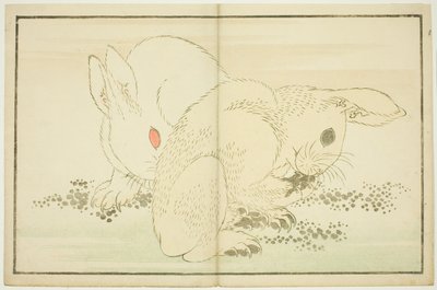 Due conigli, dal Libro delle pitture realistiche di Hokusai (Hokusai shashin gafu) da Katsushika Hokusai