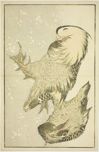 Due uccelli acquatici, dal Libro illustrato di pitture realistiche di Hokusai (Hokusai shashin gafu) da Katsushika Hokusai