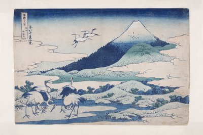 Maniero di Umezawa nella provincia di Sagami da Katsushika Hokusai