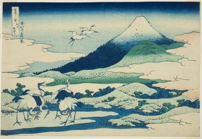 Palude di Umezawa nella provincia di Sagami (Soshu Umezawa hidari), dalla serie "Trentasei vedute del Monte Fuji (Fugaku sanjurokkei)" da Katsushika Hokusai