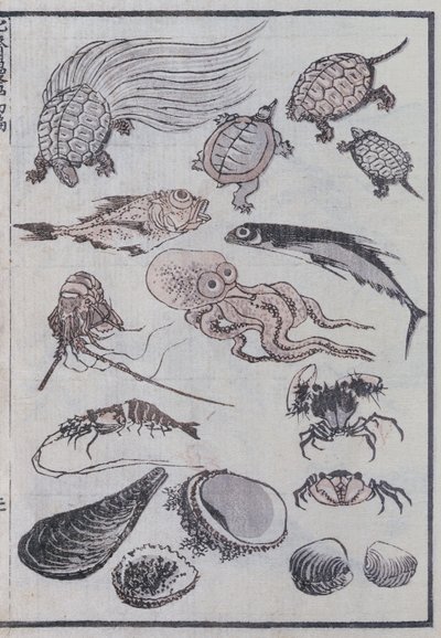 Creature sottomarine, da un Manga da Katsushika Hokusai