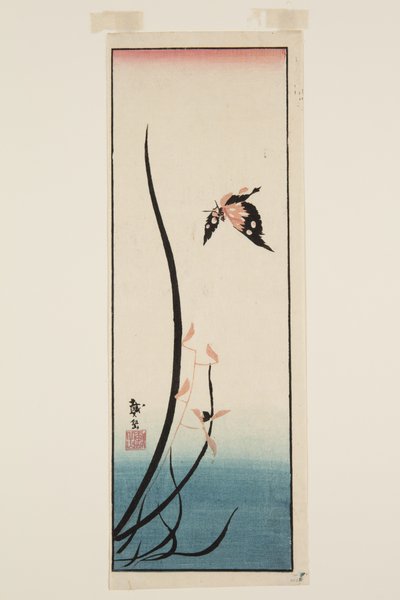 Farfalla e erba da Katsushika II (fl.1820 50) Taito