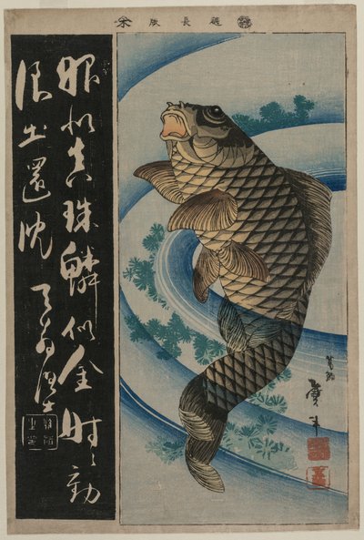 Carpa e alghe da Katsushika Taito II