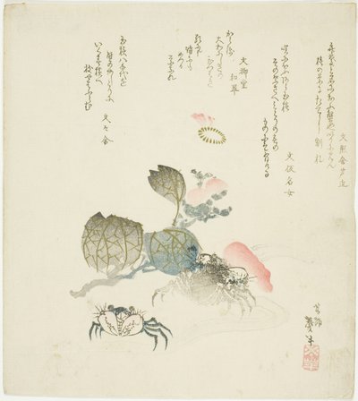 Due granchi vicino a un ramo di camelia da Katsushika Taito II