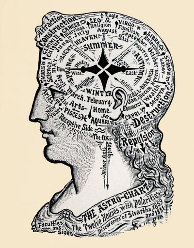 Una mappa della testa e delle spalle umane. XIX secolo da Alec Hunter