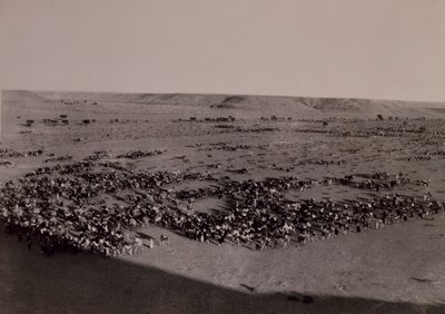 Avanti a Brak, Guerra Italo-Turca, Libia XX secolo da Alec Hunter