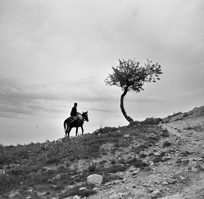 Contadino che torna dai campi, cavalca un mulo da Alec Hunter