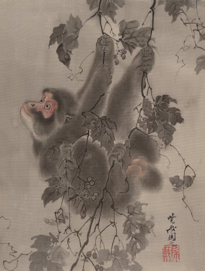 Scimmia appesa alle viti, ca. 1887 da Kawanabe Kyosai