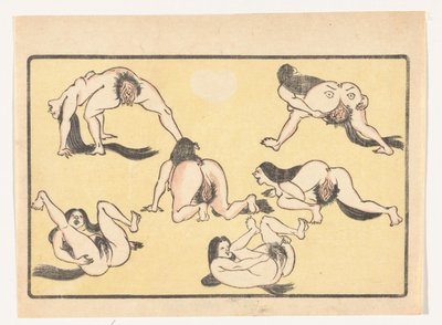 Donne nude da Kawanabe Kyosai