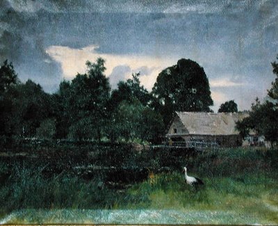 Paesaggio con una cicogna da Kazimierz Alchimowicz