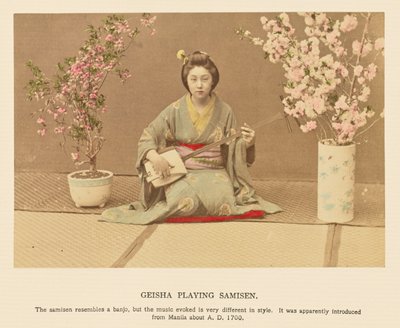 Geisha che suona il samisen da Kazumasa Ogawa