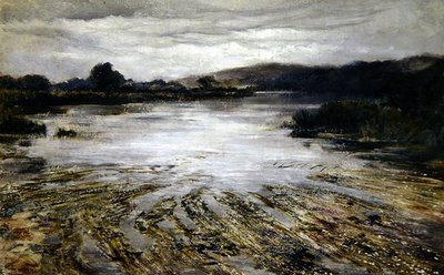Erba del fiume da Keeley Halswelle