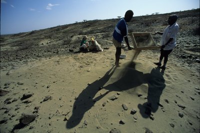 Allia Bay, Kenya; Turkana; Setacciamento per fossili, Alan Walker, Pennsylvania State University da Kenneth Garrett