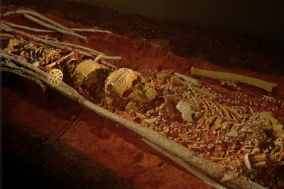 Archeologia; Ominide; Ominino; Evoluzione Umana - Homo sapiens sapiens; Evoluzione Umana; Era Glaciale, 2000 (foto) da Kenneth Garrett