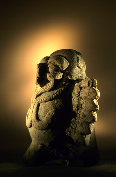 Artefatto, Cancuen, Guatemala, Arthur Demarest, Tomas Barrientos, Maya, palazzo, Classico, 2004 da Kenneth Garrett