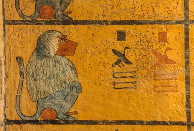 Babbuino, Pittura murale nella tomba del re Tutankhamon; KV52, Valle dei Re, Tebe, 2003 da Kenneth Garrett