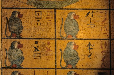 Babuini, pittura murale nella tomba di Re Tutankhamon; KV52, Valle dei Re, Tebe da Kenneth Garrett