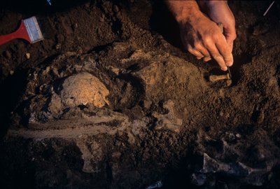 Dmanisi, Georgia, David Lordkipanidze, Homo Erectus da Kenneth Garrett