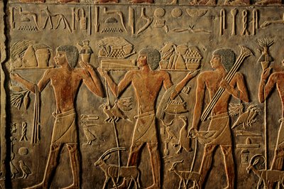 Egitto; Antico Regno; Saqqara; Sakkara; Tomba di Ptah Hotep; Eternità da Kenneth Garrett