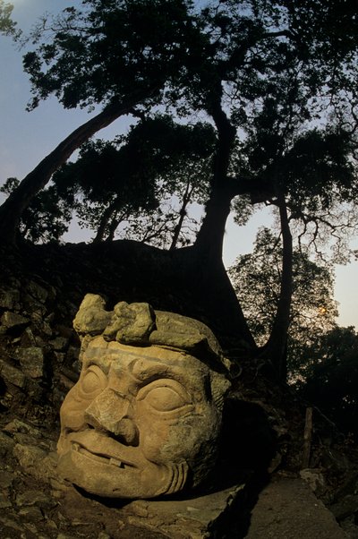 Dio N, albero di Ceiba, tempio, Maya, Copan, Honduras, periodo classico da Kenneth Garrett
