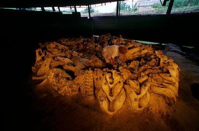 Mascelle di mammut da una capanna di ossa, Mezhirich, Ucraina, 2000 da Kenneth Garrett