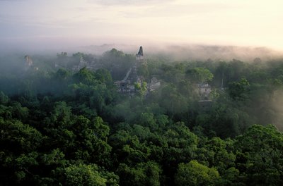 Maya; Tikal; Guatemala da Kenneth Garrett