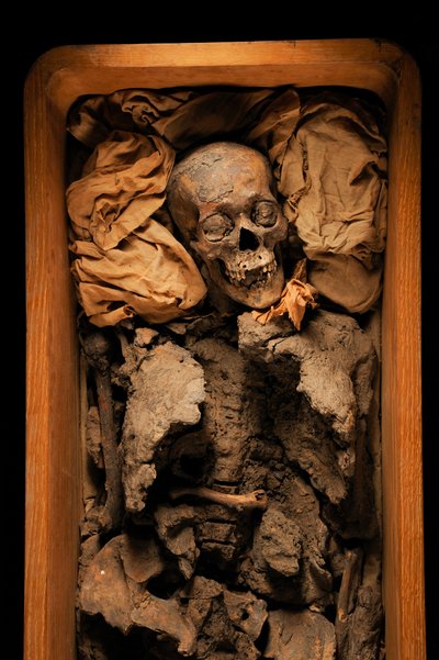 Mummia di Amenhotep III, nonno del re Tut, KV 35, Tutankhamon; XVIII Dinastia; Nuovo Regno, 2005 da Kenneth Garrett