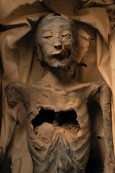 Mummia della madre del re Tut (conosciuta come la Signora Giovane) da Kenneth Garrett