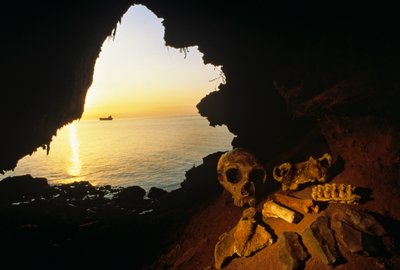 Teschio di donna Neanderthal, strumenti scheggiati e ossa di un stambecco - capra selvatica, Gibilterra, 2008 da Kenneth Garrett