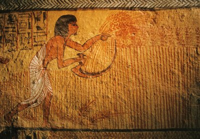 Dipinto della mietitura del grano, Tomba di Sennedjem, Deir el Medina, 2003 (foto) da Kenneth Garrett