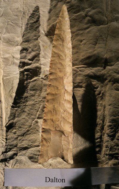 Popolamento delle Americhe, Punto Dalton, Dennis Stanford, collezione di strumenti dello Smithsonian, 2008 da Kenneth Garrett