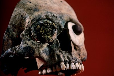 Teschio con denti limati, Azteco, Messico, Templo Mayor, 2010 da Kenneth Garrett