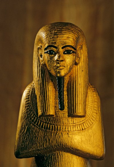 Statua di Duamutef; Oro; legno, KV 62. Duamutef era, nella religione egizia antica, 2009 (foto) da Kenneth Garrett